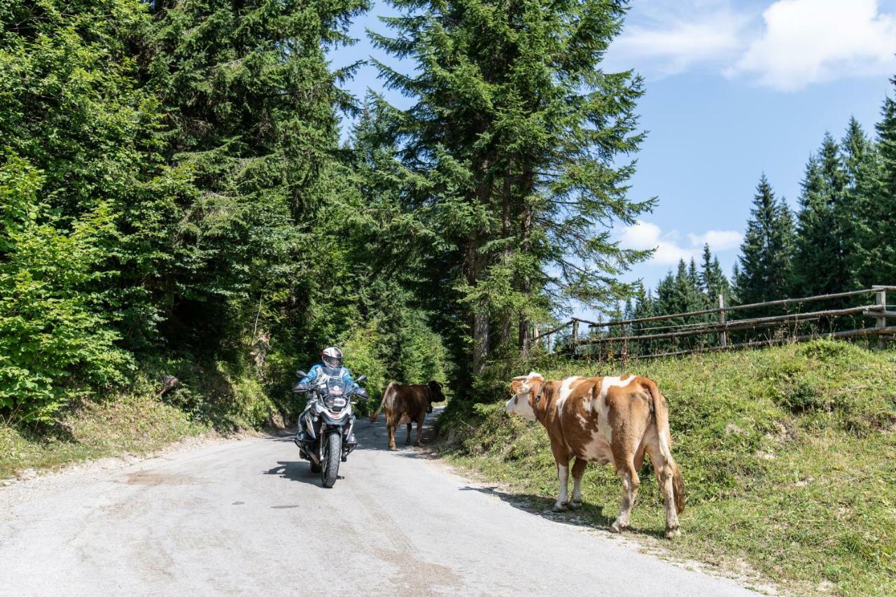 Ferienwohnungen Panorama Harrys Bike Tours Филах Екстериор снимка